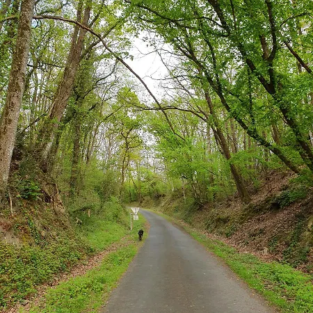 Au Fil Des Saisons Lantställe *